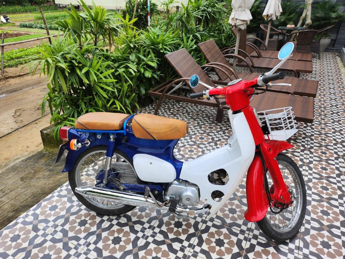 La Maison D'Indochine Hội An Buitenkant foto