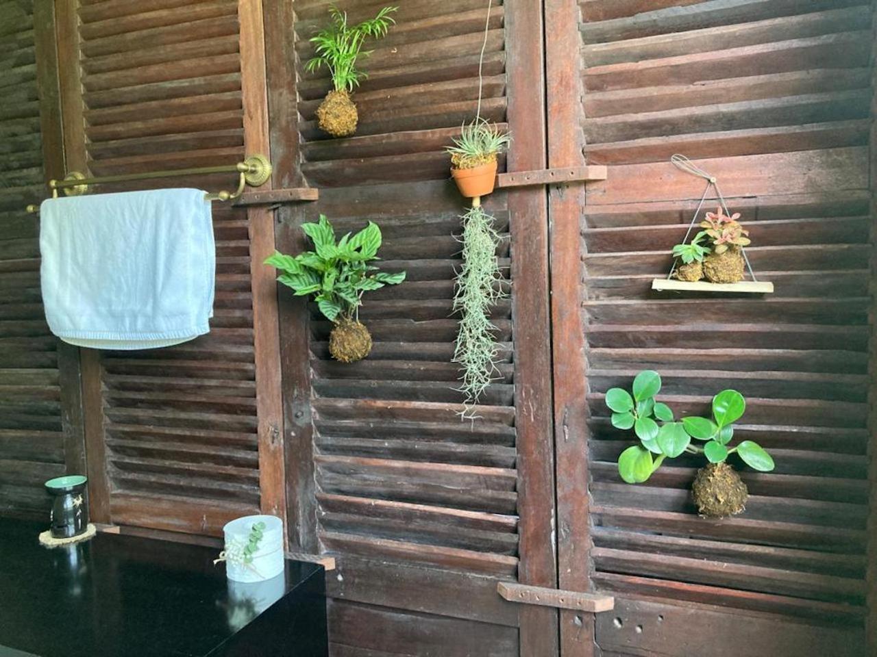 La Maison D'Indochine Hội An Buitenkant foto